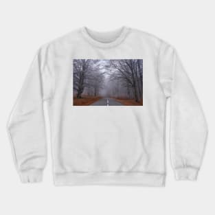 Road through forest, early winter Crewneck Sweatshirt